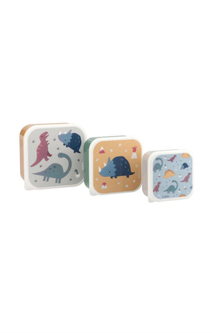 Lunch box set dinos