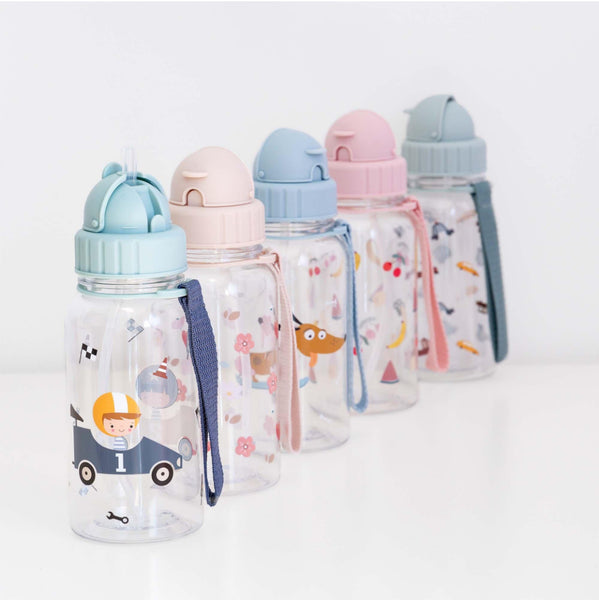 Bottle little garden